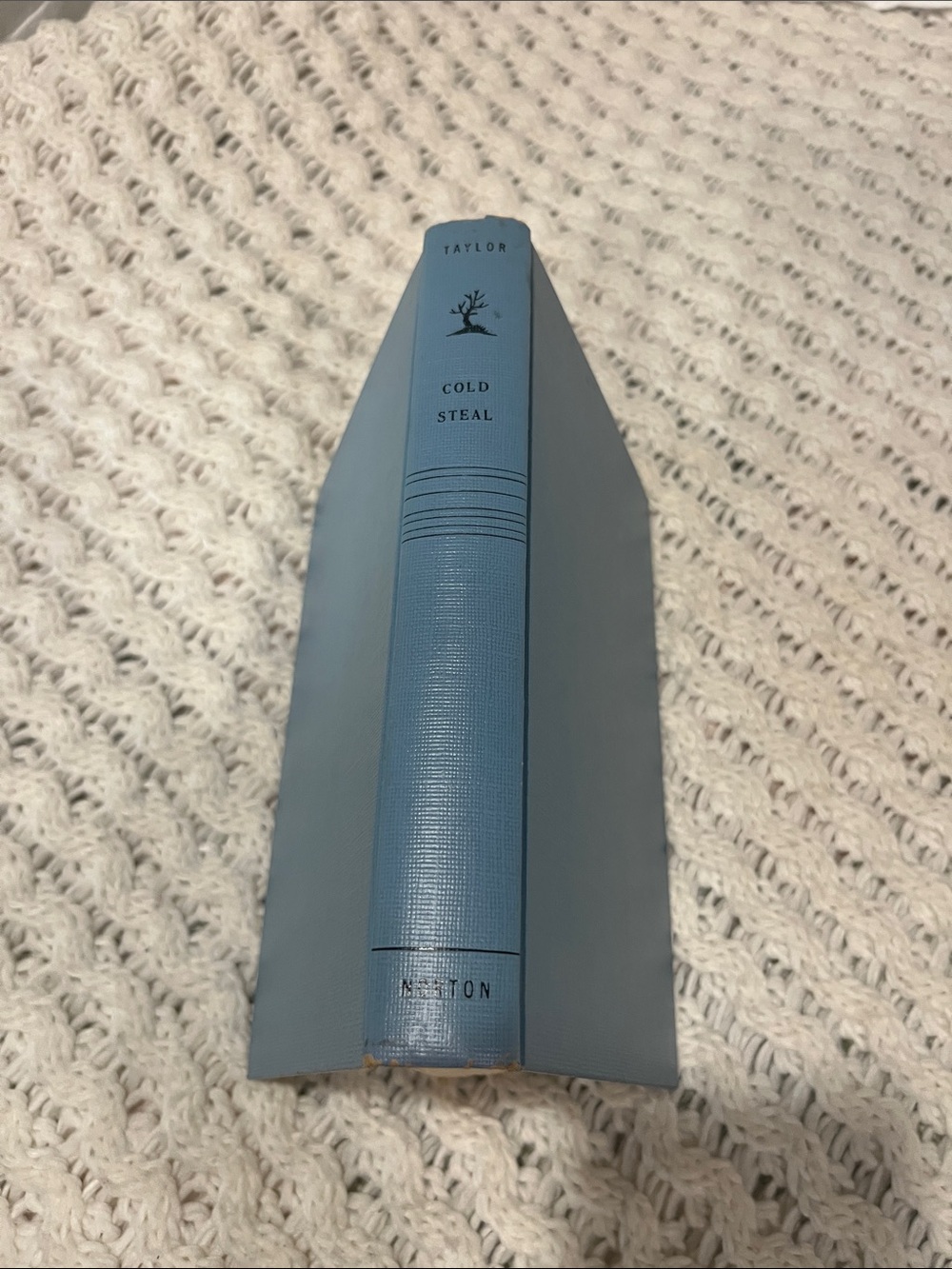 Cold Steal, A 1939 Mystery Novel